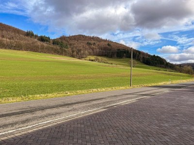 Holiday house Modernes Split-Level Haus nahe am Hennesee - Environment photo 36