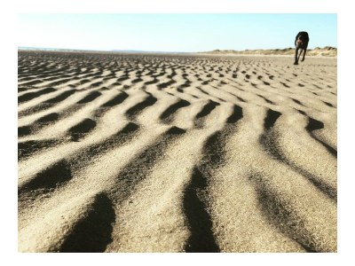 Holiday house La Baraka - Environment photo 19