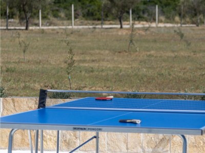 Villa Charming villa Viliska with heated pool - Outdoor photo 13