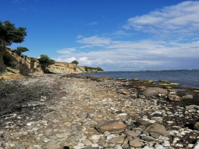 Bungalow Bungalow nur wenige Schritte vom Meer entfernt - Environment photo 18