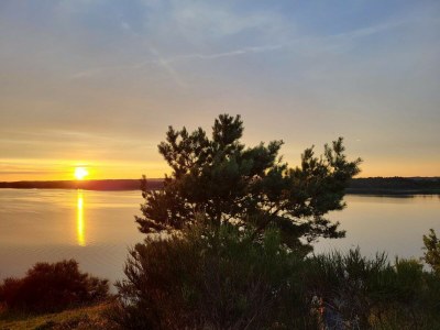 Bungalow Bungalow nur wenige Schritte vom Meer entfernt - Environment photo 26