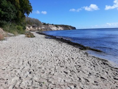 Bungalow Bungalow nur wenige Schritte vom Meer entfernt - Environment photo 32