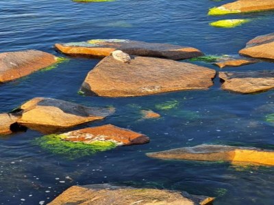 Bungalow Bungalow nur wenige Schritte vom Meer entfernt - Environment photo 35