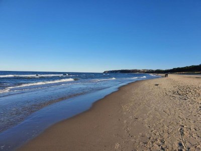 Bungalow Bungalow nur wenige Schritte vom Meer entfernt - Environment photo 37