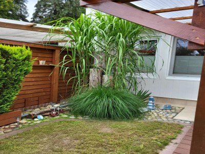 Bungalow Bungalow nur wenige Schritte vom Meer entfernt - Outdoor photo 39