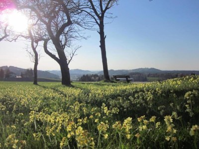 Apartment Sunny Stay with Mountain - Environment photo 16