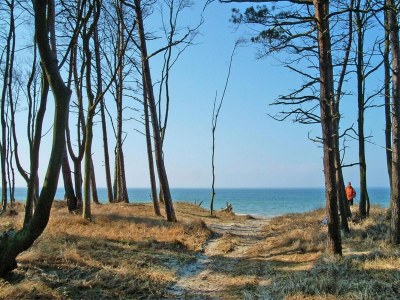 Apartment Ferienwohnung am Bodstedter Bodden - Outdoor photo 13