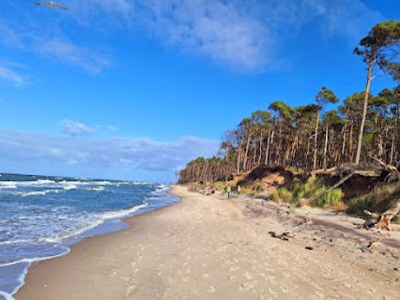 Apartment Ferienwohnung am Bodstedter Bodden - Outdoor photo 16