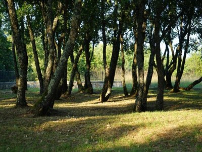 Holiday house Familienvilla mit Pool, Wellness - Environment photo 30