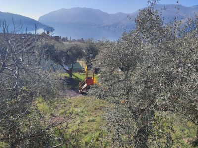 Holiday house Ferienhaus am Lago di Iseo mit Terrasse - Environment photo 32