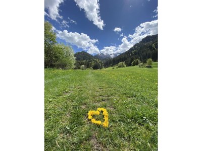 Holiday apartment Alpgondola - Ihr Luxus Bergnest im Allgäu - Environment photo 26