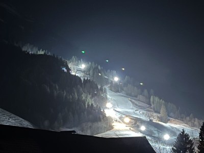 Holiday apartment Alpgondola - Ihr Luxus Bergnest im Allgäu - Environment photo 30