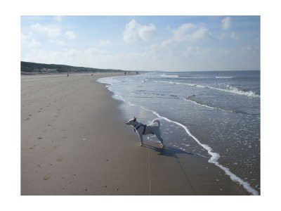 Holiday house Dream vacation home - Environment photo 39