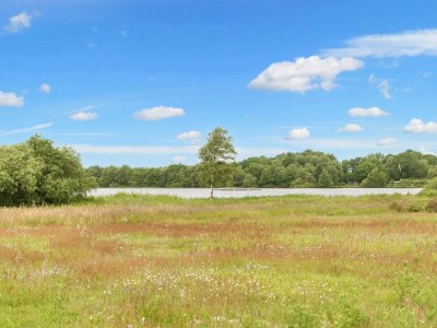 Holiday house Luxurioses Seeruckzug -- By Traum Ferienwohnungen - Outdoor photo 11
