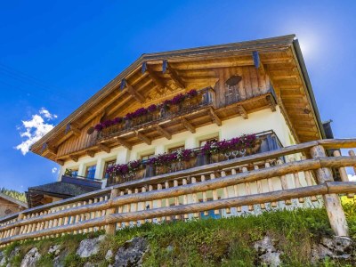 Holiday apartment Oberdachebenhof Dienten in Dienten am Hochkönig - Holiday apartment