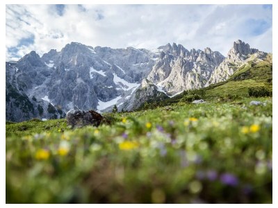 Holiday apartment Oberdachebenhof Dienten - Environment photo 9
