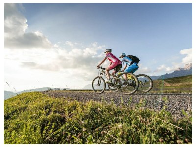 Holiday apartment Oberdachebenhof Dienten - Environment photo 10