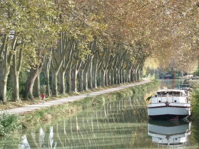 Holiday house Marsanne or Grenache - Environment photo 23