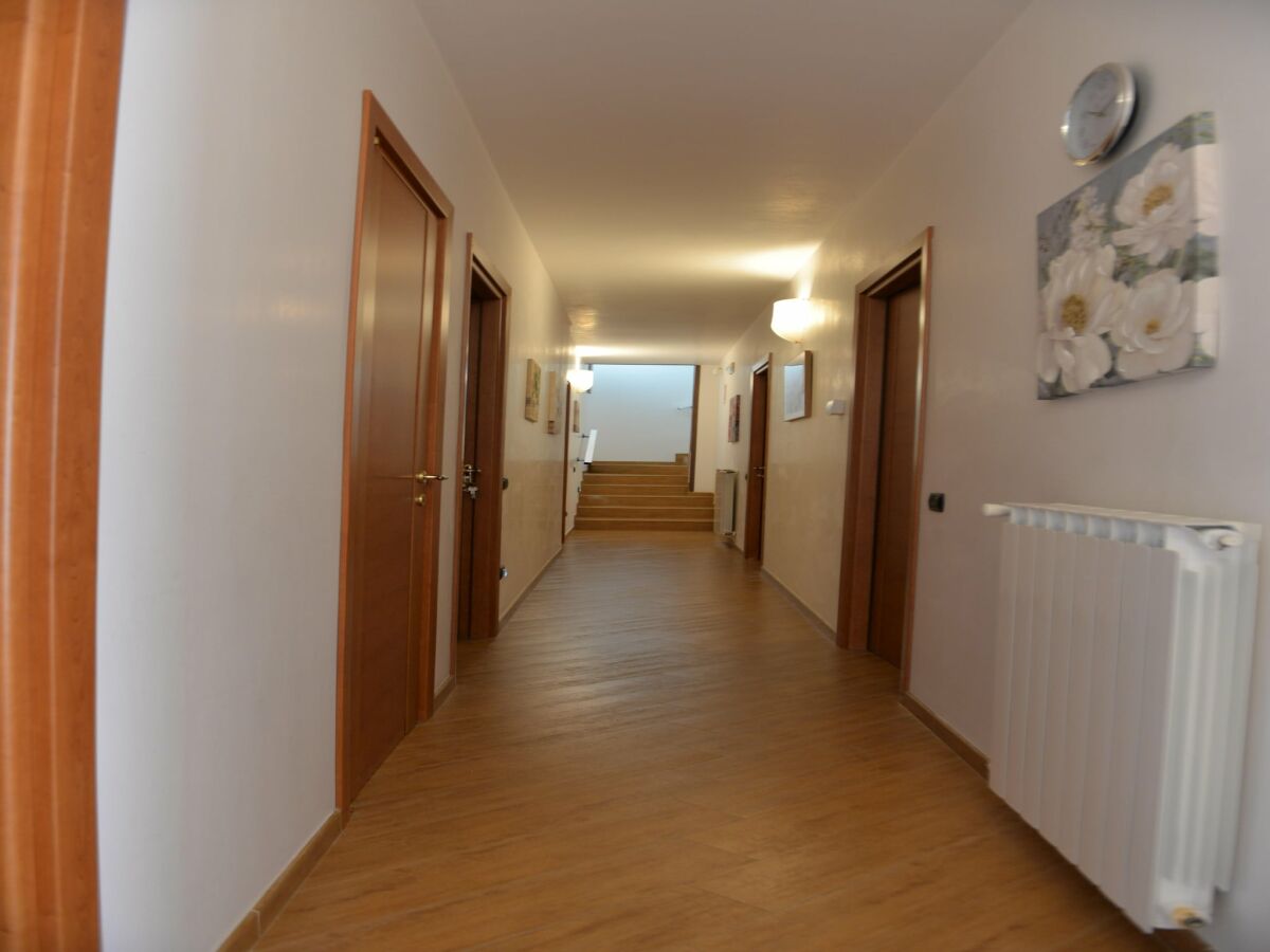 Holiday house Villa in Casalini with Pool & Olive Garden - Features photo 3