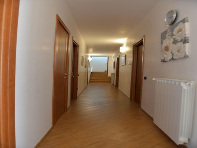 Holiday house Villa in Casalini with Pool & Olive Garden - Features photo 3