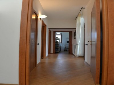 Holiday house Villa in Casalini with Pool & Olive Garden - Features photo 38