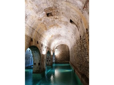 Farmhouse Il Roseto - Environment photo 15