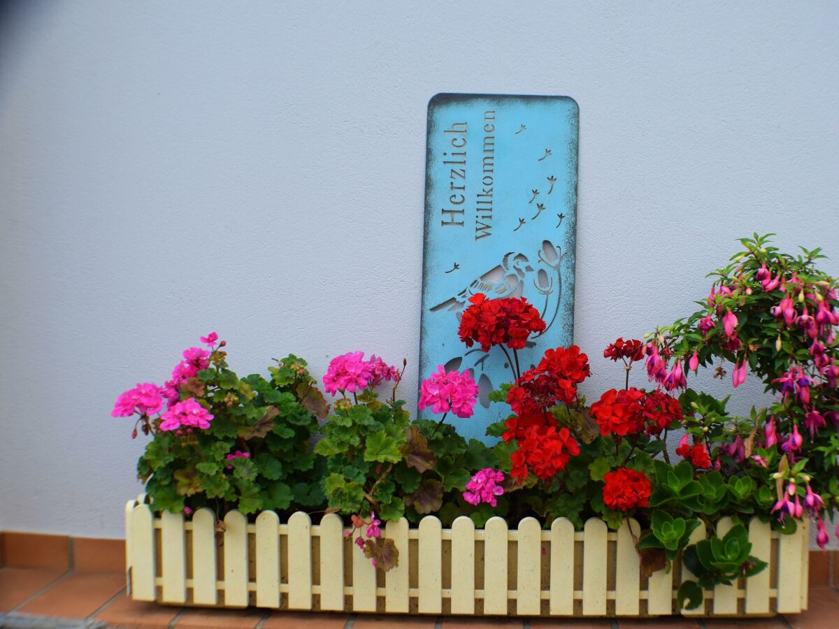 Apartment Ferienwohnung Afrika