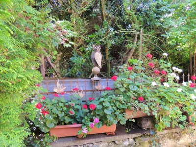 Apartment Ferienwohnung Afrika - Features photo 25