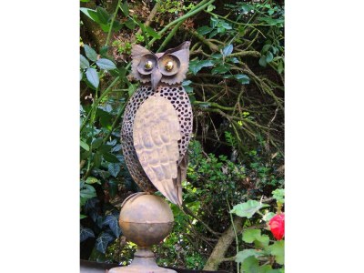 Apartment Ferienwohnung Afrika - Features photo 26