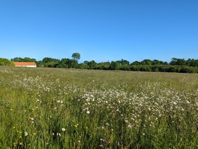 Holiday house La Lapiniere - Outdoor photo 8