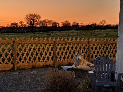 Holiday house La Lapiniere - Outdoor photo 11