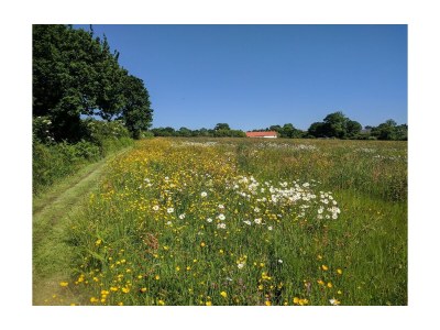 Holiday house La Lapiniere - Outdoor photo 15