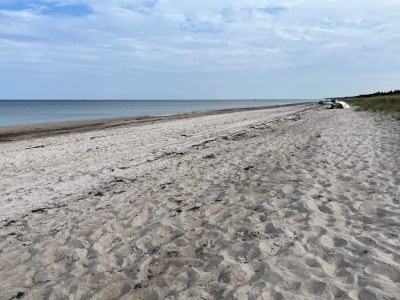 Holiday house 4 Sterne Ferienhaus in Væggerløse-By Traum - Outdoor photo 14