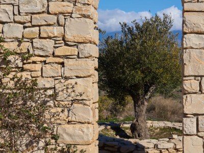 Villa Orelia Cretan Villas - Outdoor photo 6