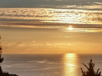 Villa Orelia Cretan Villas - Environment photo 15