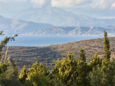 Villa Orelia Cretan Villas - Environment photo 17