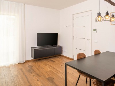 Apartment 600A Panoramic Apartment Rudi - Features photo 8