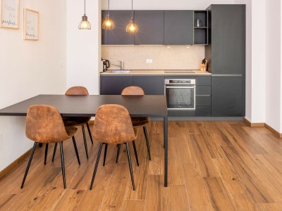 Apartment 600A Panoramic Apartment Rudi - Features photo 9