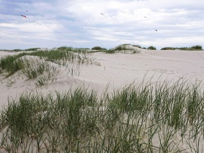 Holiday house 4 Personen Ferienhaus in Fanø-By Traum - Outdoor photo 24