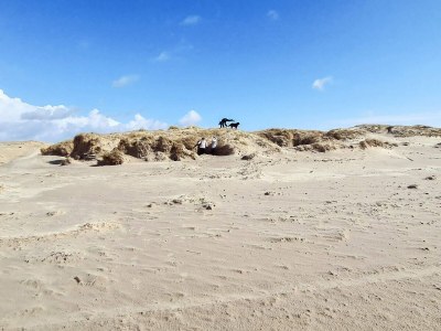Holiday house 4 Personen Ferienhaus in Fanø-By Traum - Outdoor photo 25
