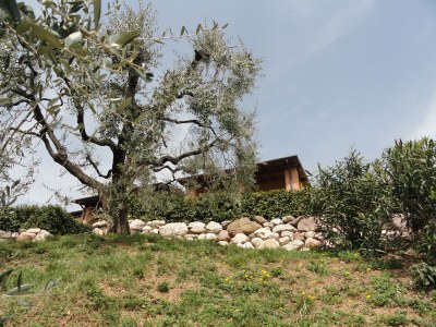 Holiday apartment No title - Outdoor photo 11