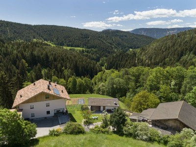 Holiday apartment Spitalerhof - Outdoor photo 2