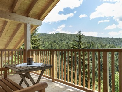 Holiday apartment Spitalerhof - Features photo 10