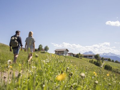Holiday apartment Spitalerhof - Environment photo 11