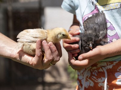Holiday apartment Spitalerhof - Environment photo 13