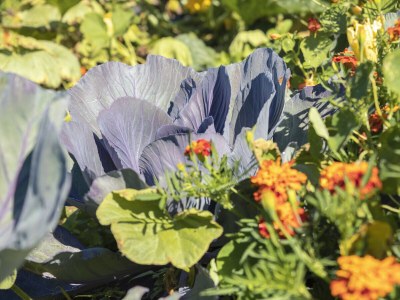 Holiday apartment Spitalerhof - Environment photo 14