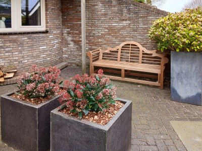 Holiday apartment Duinweg 16A - Outdoor photo 2