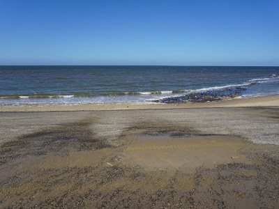 Holiday apartment Duinweg 16A - Environment photo 19