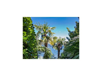 Apartment La Terrazza 4 B - Environment photo 16