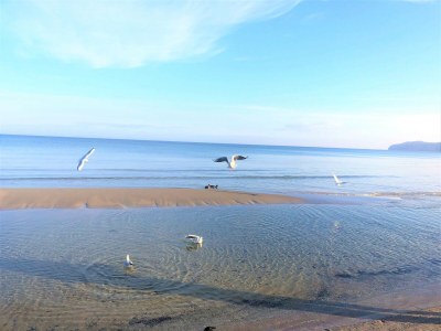 Holiday apartment Apartment 6 (Starfish) in der Villa Vesta - Environment photo 34